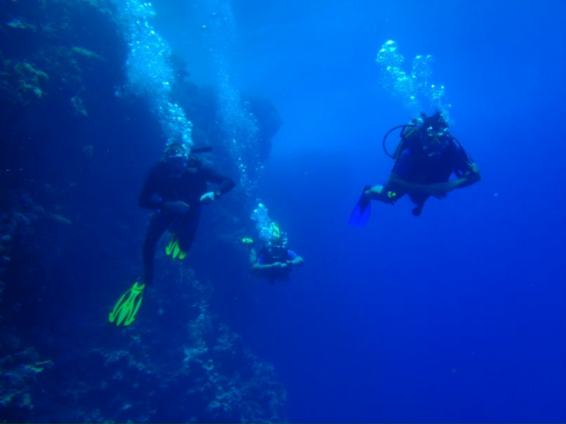 Vit Mi фотография #30