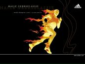 Фотография Новикова Никиты