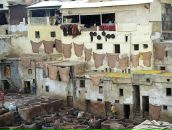 Дмитрий Фёдоров фотография #11 (источник - https://vk.com/id28347)