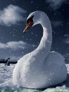 Софія Коржик фотография #35 (источник - https://vk.com/id176915360)