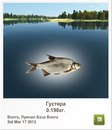 Руслан Кімар фотография #3 (источник - https://vk.com/id139567668)