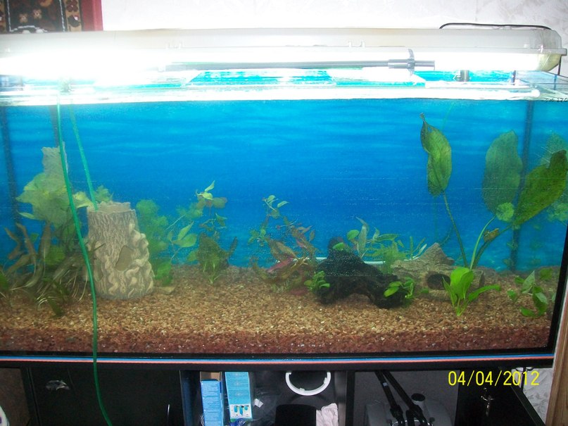 Igor Demchenko фотография #32