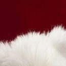 Ірина Криницька фотография #42 (источник - https://vk.com/id133914453)