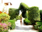 Фотография Shishkina Кристины