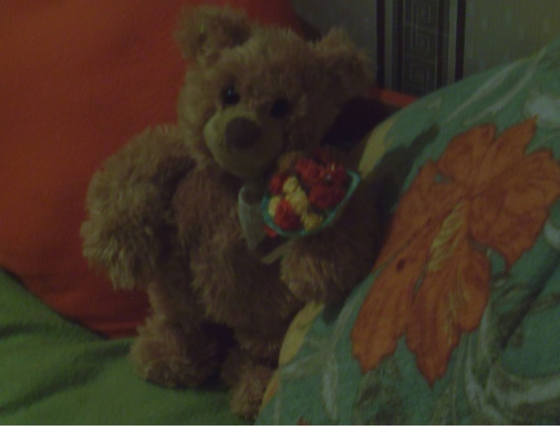 Tory Andersen фотография #34