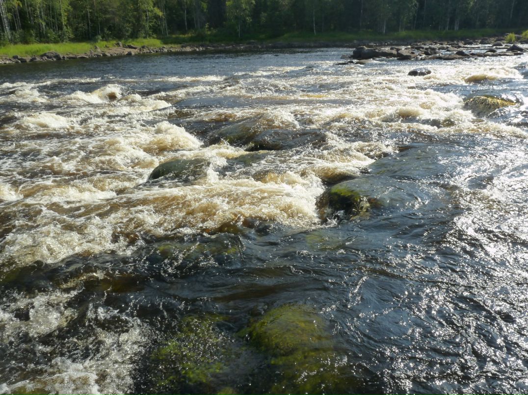 Дмитрий Когольницкий фотография #23