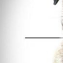 Вєталь Серйозний фотография #24 (источник - https://vk.com/id136859700)