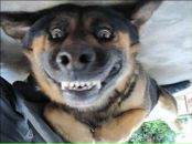 Фотография Дмитриева Константина