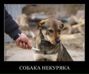 Фотография Лозовского Сергея