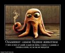 Фотография Бултыгина Виктора