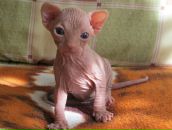 Фотография Поливанного Алексея