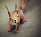 Фотография Черноивановой Надежды