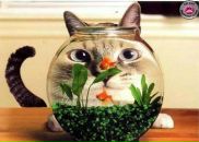 Наталія Руда фотография #13 (источник - https://vk.com/id5979537)