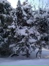Фотография Луниной Екатерины