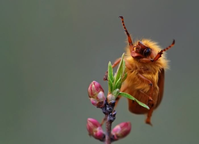 Фарид Гайсин фотография #39