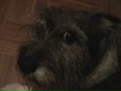 Фотография Смородиной Юлии