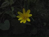 Наталя Долінська фотография #30 (источник - https://vk.com/id122231007)