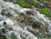 Vaрюшa ))) фотография #8 (источник - https://vk.com/id106946246)