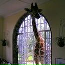 Фотография Kiseleva Margarita