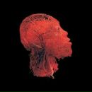 Лев Стахира фотография #39 (источник - https://vk.com/id7438041)