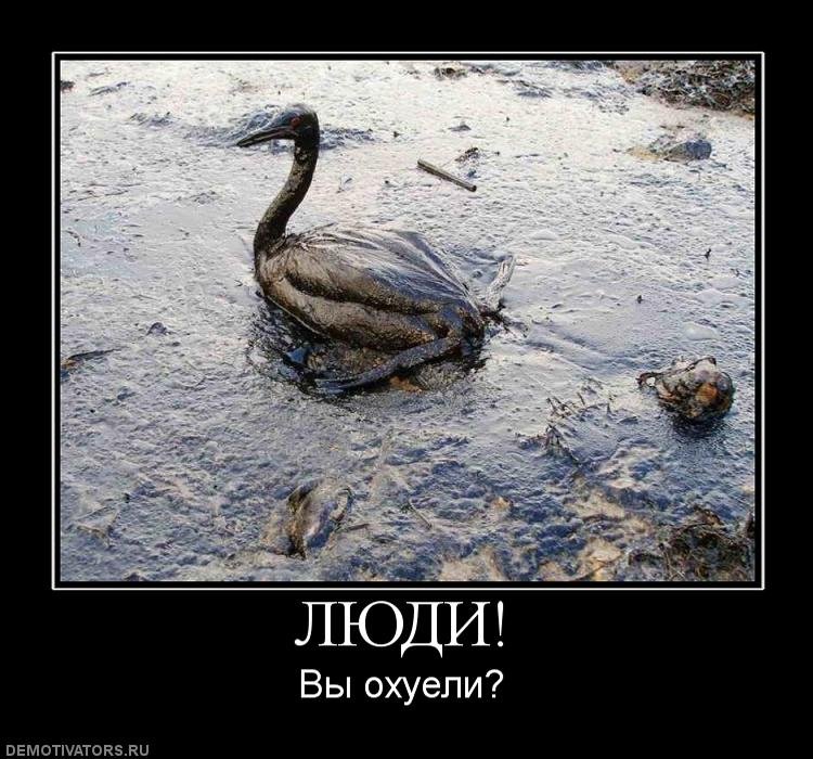 Александр Бажан фотография #30