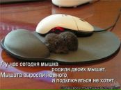 Юрій Рубанік фотография #11 (источник - https://vk.com/id91072730)