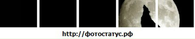 Андрій Хаврак фотография #43 (источник - https://vk.com/id17729981)