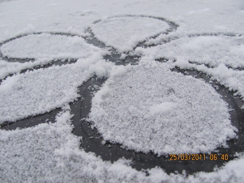 Ольга С фотография #10