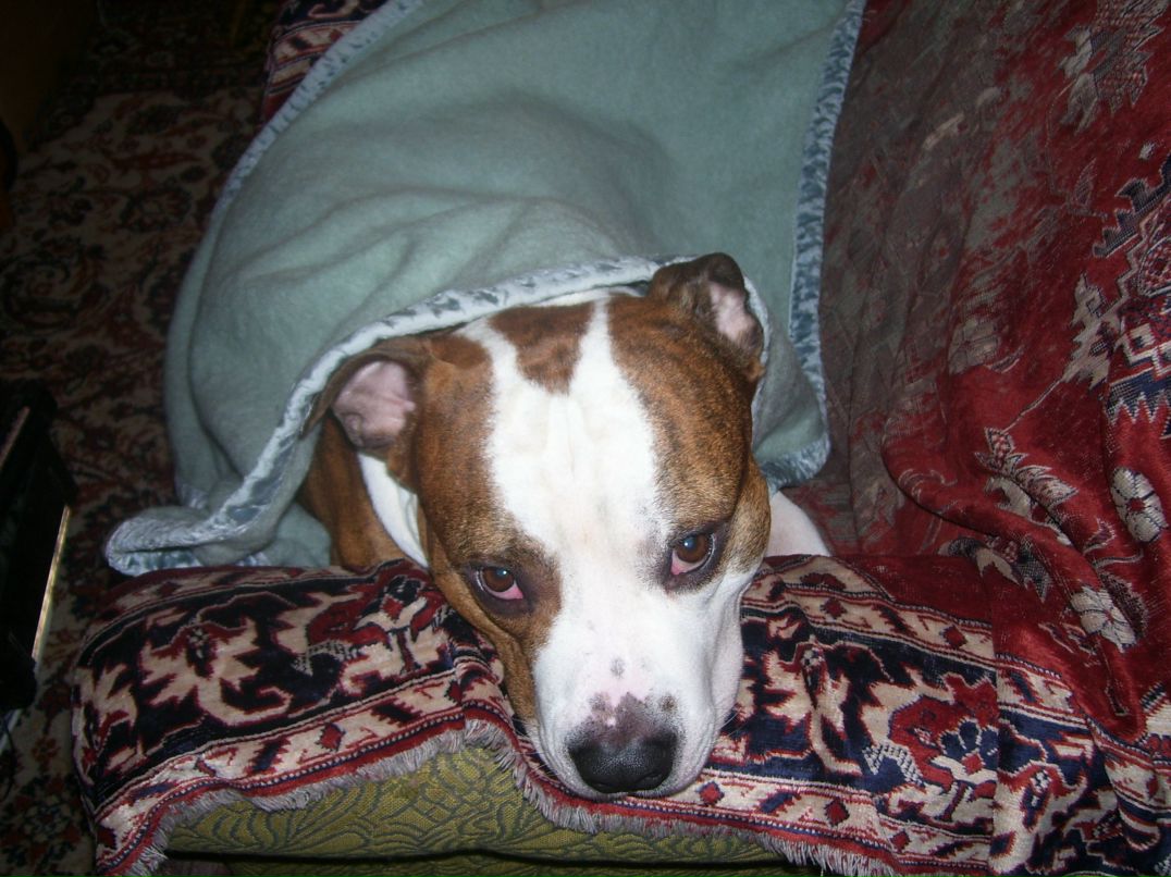 Роберт Рубенян фотография #2