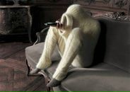 Фотография Kazakova Anny