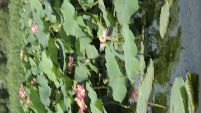 Евгений Бакаев фотография #31