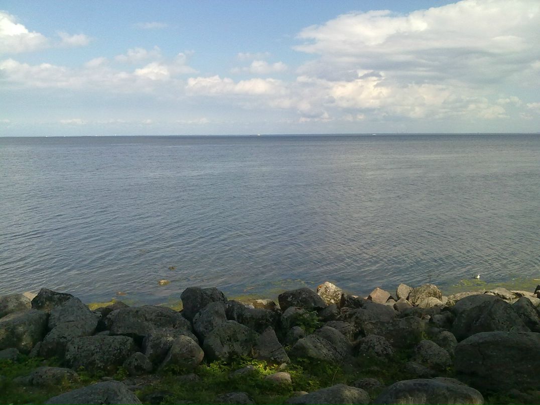 Дмитрий Филин фотография #24