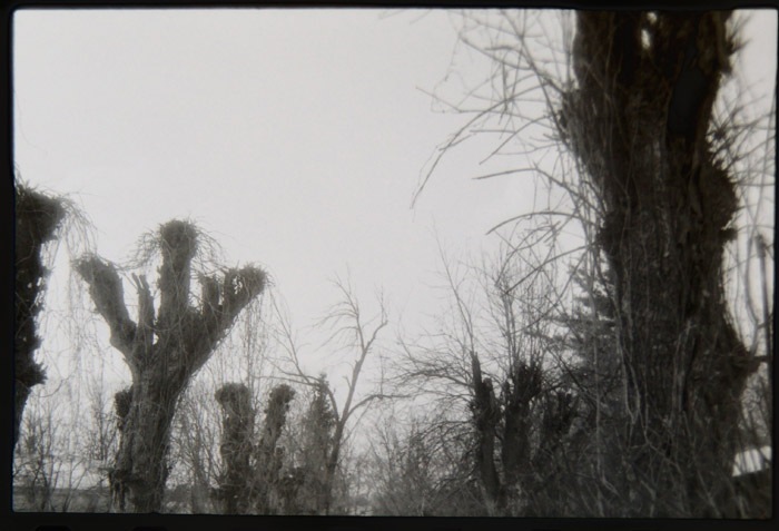 Пётр Абажуров фотография #13