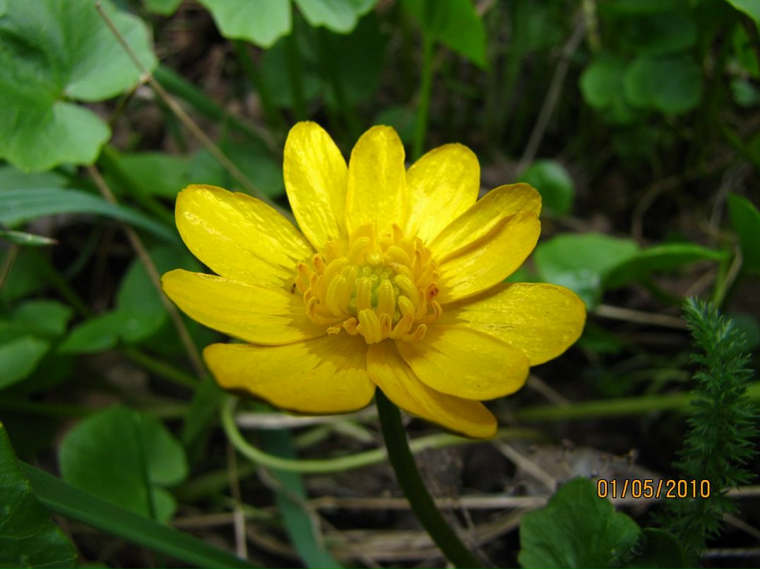 Игорь Котов фотография #16