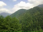 Igor Igor фотография #40 (источник - https://vk.com/id577602)