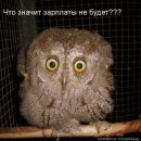 Фотография Харковчук Марии