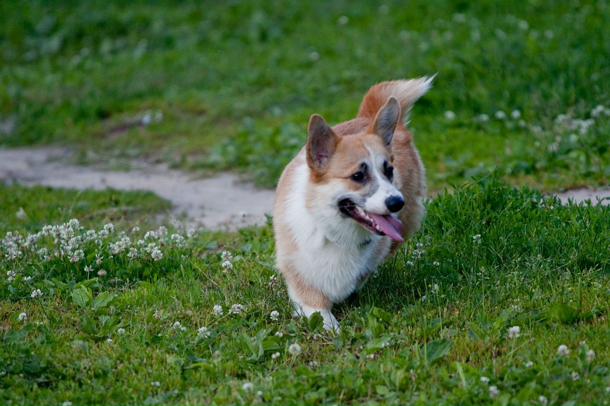 Александр Пушаков фотография #24