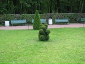 Фотография Счастливой Наталии