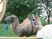 Наталія Лойко фотография #15 (источник - https://vk.com/id97309274)