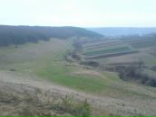 Рома Фамін фотография #19 (источник - https://vk.com/id55941362)