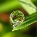 Фотография Ворожцовой Елены