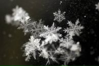 Фотография Савченко Оли-Ли