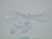 Фотография Луцкой Ольги