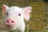 ( Крамарь фотография #1