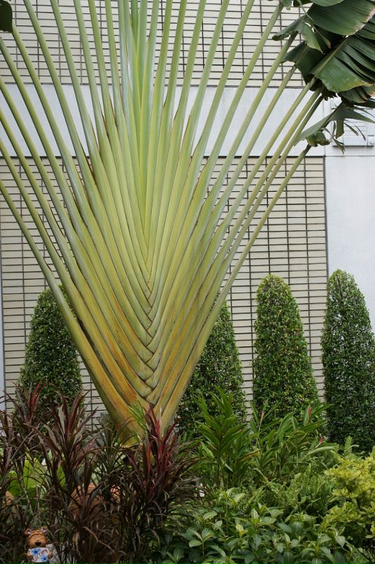 Иван Пешков фотография #16