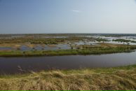 Сергій Кульпа фотография #1