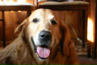 Фотография Степанова Сергея