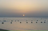 Татьяна Богачева фотография #33 (источник - https://vk.com/id5447024)