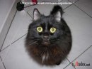 Фотография Вылегжанина Игоря