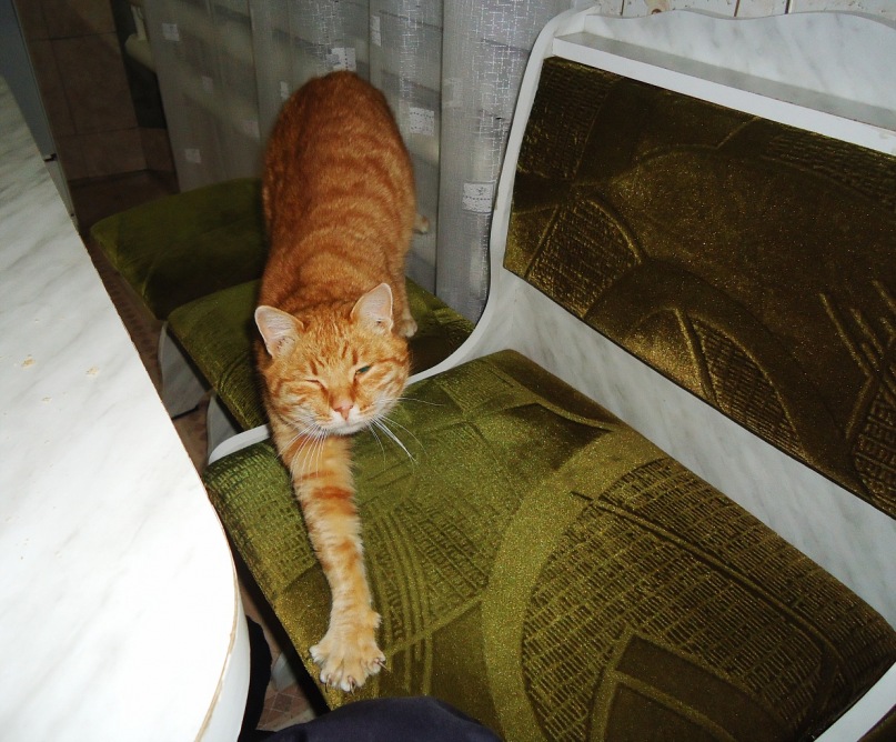 Max Kuvanov фотография #19